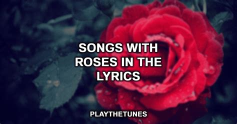 rose the song lyrics